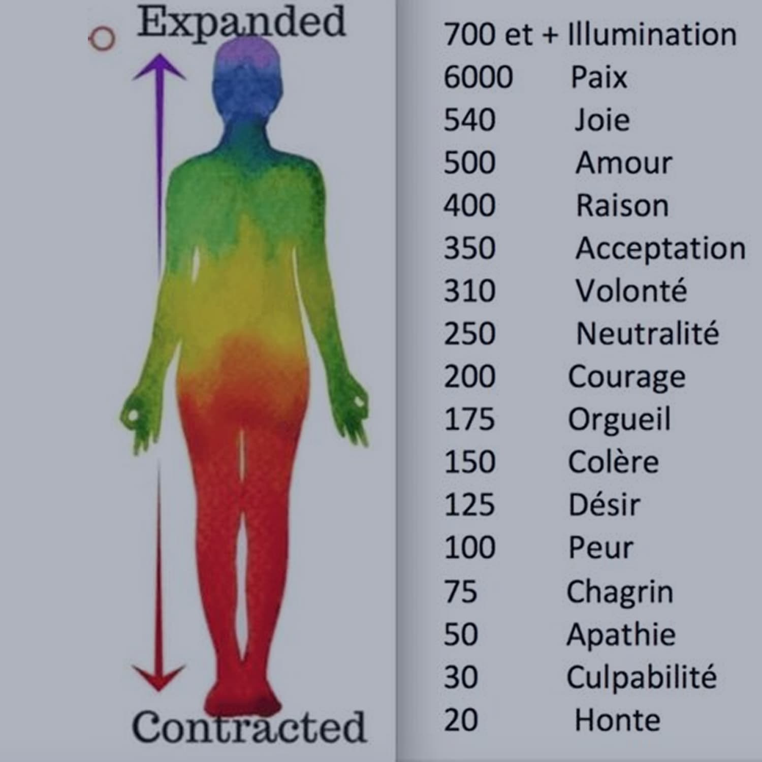 Échelle d’énergie Expanded/Contracted : niveaux vibratoires des émotions, de la honte à l’illumination