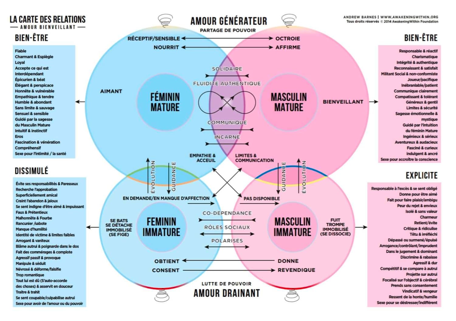 La carte des relations — diagramme des quatre énergies (féminin/masculin, mature/immature)