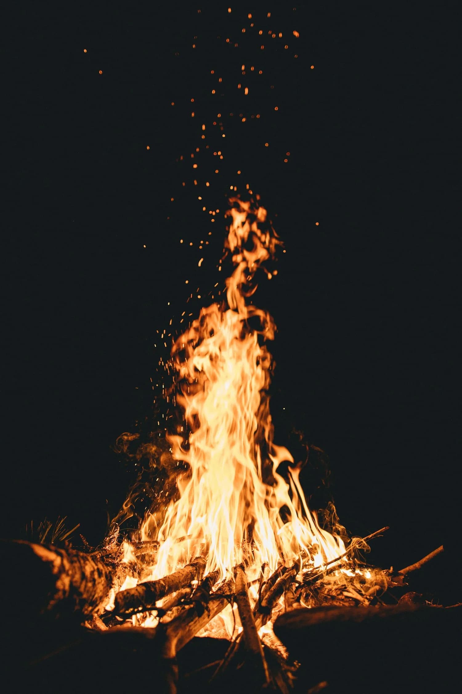 Feu de camp aux flammes vives dans la nuit